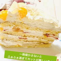 みかん/桃/🍘/ジャンボサイズ/フルーツケーキ/誕生日ケーキ ケーキカット🗡

あまりにジャンボ過ぎて…(2枚目)
