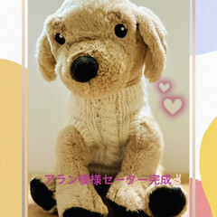 初製図作り/わんこのセーター/手編み/ハンドメイド/手作り/ハンドメイド作品/... 第2作目
アラン模様セーター完成しました…