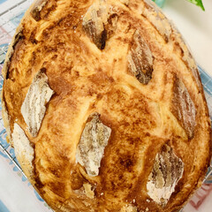 カンパーニュ/自家製天然酵母パン/手作りパン 自家製天然酵母パン
バヌトン型でカンパー…(2枚目)
