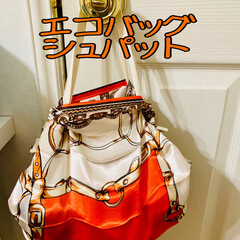 シュパット/ハンドメイド/エコバッグ/おしゃれ/100均/梅雨/... スカーフ生地を使って
エコバッグシュパッ…