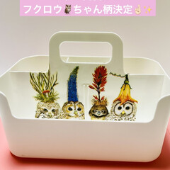 ハンドメイド/デコパージュ/ニトリ/収納ボックス/ペーパーナプキン たくさんのペーパーナプキンの中から
今回…