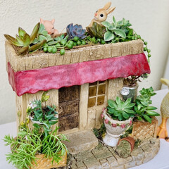 大型ホームセンター/ハウス/寄せ植え/多肉植物/ガーデニング/雑貨/... 毎回大型ホームセンターに行くたびに
ひと…