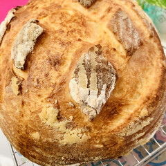 カンパーニュ/自家製天然酵母パン/手作りパン 自家製天然酵母パン
バヌトン型でカンパー…(3枚目)