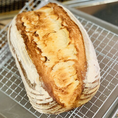 焼きたて/カンパーニュ/バヌトン型/自家製天然酵母/手作りパン 今日は、バヌトン型カンパーニュ😘

たっ…(3枚目)