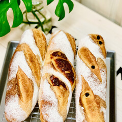 ミックスレーズン/カマンベールチーズ/フランスパン/手作りパン/自家製天然酵母パン 自家製天然酵母パン

フランス🇫🇷パン🥖…(3枚目)
