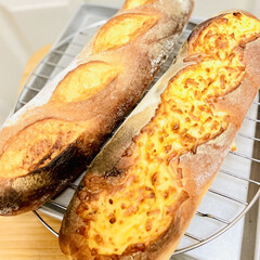 チーズ/フランスパン/自家製天然酵母パン/手作りパン 今朝はフランスパン🥖を焼きました👩‍🍳
…(2枚目)