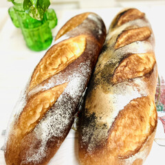 おもてなし/ジャンボフランス/自家製天然酵母パン/手作りパン 今朝はジャンボフランス🥖

今日は娘と孫…(1枚目)