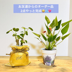 インテリア/オーダー品/木製ドリップコーヒースタンド/デコパージュ鉢/ずだ袋型/モルタル造形/... こんばんは〜🌆
お友達からオーダーを受…