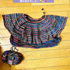 編み物再開/オパール毛糸でセーターに初挑戦/オパール毛糸/トップダウンセーター/手編み 昨年の暮れから編み始めたオパール毛糸で
…(2枚目)