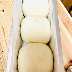 自家製天然酵母パン/手作りパン 久々のパン製作🍞🥐🥖😆💖(2枚目)