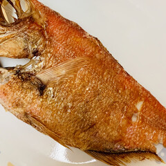 ポテトサラダ/金目鯛 今夜は、
金目鯛の塩焼きとポテトサラダ🥗…(3枚目)