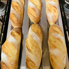自家製天然酵母パン/おうちごはん 自家製天然酵母
ミニフランス🇫🇷焼き上が…(1枚目)