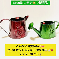 フラワーポット/新商品/¥200商品/¥100均レモン/ブリキ缶 久々の¥100均レモン🍋
ひとりだった…
