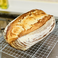 焼きたて/カンパーニュ/バヌトン型/自家製天然酵母/手作りパン 今日は、バヌトン型カンパーニュ😘

たっ…(4枚目)