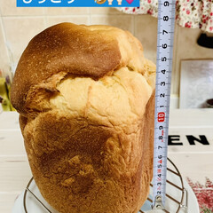 早焼き/ご飯🍚パン/手作りパン/HB 酵母パンが無くなり
今日は、
発酵に時間…(2枚目)