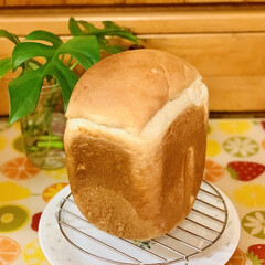 ご飯🍚パン🍞/HB/手作りパン 昨日作ったかりんジャムを
食パン🍞に塗っ…(1枚目)