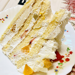 みかん/桃/🍘/ジャンボサイズ/フルーツケーキ/誕生日ケーキ ケーキカット🗡

あまりにジャンボ過ぎて…(4枚目)