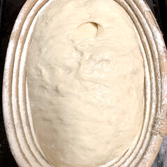 自家製天然酵母パン 自家製天然酵母パン
ただ今　第二次発酵中…(2枚目)