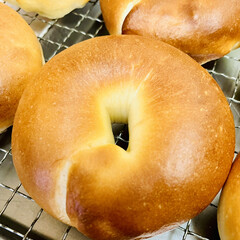 ベーグル/自家製天然酵母パン/手作りパン 自家製天然酵母パンベーグル🥯

プレーン…(6枚目)