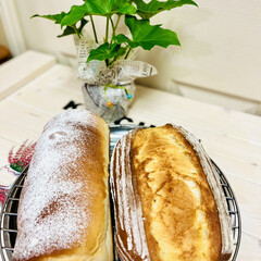 胡桃とクランベリー/食パン/バヌトン型/自家製天然酵母パン/手作りパン 焼けました〜🙌🏻🤣👩🏼‍🍳

柔らか過ぎ…(4枚目)