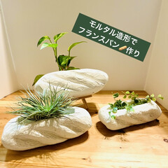 ホームセンター/フランスパン型/ガーデニング/雑貨/インテリア/モルタル造形/... モルタル造形
フランスパン🥖を製作中で〜…