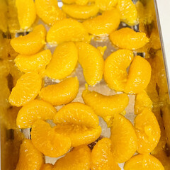 シリコンパック/みかん缶/100%オレンジジュース/濃厚バナナ/自家製シャーベット ニュートリブレッドでシャーベット💕

ち…(5枚目)