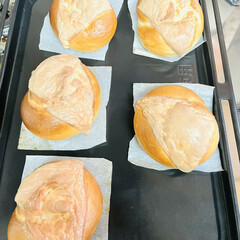 チーズ/結びベーグル/ベーグル/手作りパン/おもてなし 焼けた〜ヾ(๑╹◡╹)ﾉ&quot;🥯(2枚目)