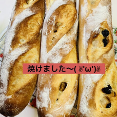 手作りパン/胡桃/🥖フランスパン🇫🇷/ブルーベリー🫐/クリームチーズ/グルメ/... 🇫🇷フランス🥖焼けました👩‍🍳

クリー…(3枚目)