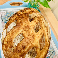 カンパーニュ/自家製天然酵母パン/手作りパン 自家製天然酵母パン
バヌトン型でカンパー…(5枚目)