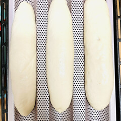 クランベリー/さけるチーズ/胡桃/ナチュラルキッチン/ケーキクーラー/フランスパン/... good morning👩🏼‍🍳

自家…(6枚目)