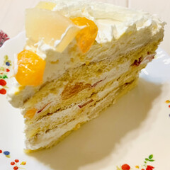 みかん/桃/🍘/ジャンボサイズ/フルーツケーキ/誕生日ケーキ ケーキカット🗡

あまりにジャンボ過ぎて…(5枚目)