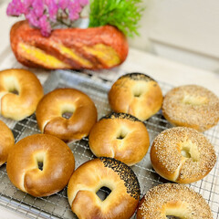 ベーグル/自家製天然酵母パン/手作りパン 自家製天然酵母パンベーグル🥯

プレーン…(7枚目)