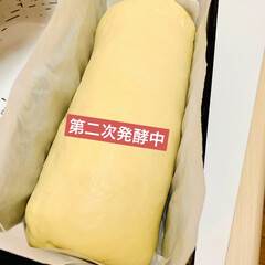 バターシュガートップ/手作りパン good morning🍞

数日ぶりに…(5枚目)