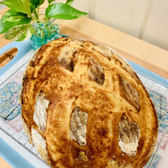 カンパーニュ/自家製天然酵母パン/手作りパン 自家製天然酵母パン
バヌトン型でカンパー…(4枚目)