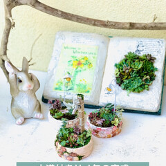 book型/寄せ植え/蛇口/リメ缶/モルタル造形/DIY/... 造形モルタルリメ缶に
水道付き寄せ植えし…