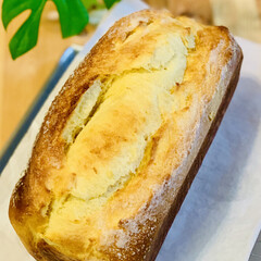 バターシュガートップ/手作りパン good morning🍞

数日ぶりに…(6枚目)