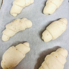 バターロール/白ゴマ/手作りパン 白ゴマバターロール焼けました👩‍🍳(3枚目)