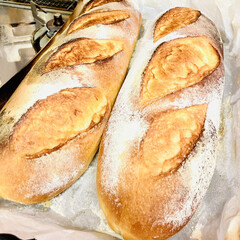 おもてなし/ジャンボフランス/自家製天然酵母パン/手作りパン 今朝はジャンボフランス🥖

今日は娘と孫…(3枚目)