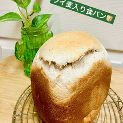 ライ麦入り食パン/HB/手作りパン good morning🍞

今朝はHB…(1枚目)
