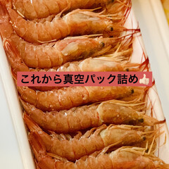 フードセーバー/グルメ/お正月食品/コストコ/海鮮/真空パック/... 昨日は、
コストコにお正月食品を買いに行…