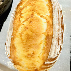 胡桃とクランベリー/食パン/バヌトン型/自家製天然酵母パン/手作りパン 焼けました〜🙌🏻🤣👩🏼‍🍳

柔らか過ぎ…(2枚目)