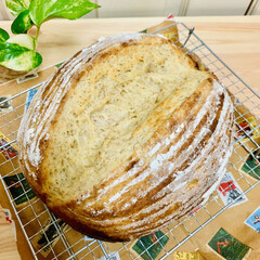 カンパーニュ/自家製天然酵母パン/うちの定番料理 おはようございます^ ^
今朝は、
ライ…(2枚目)