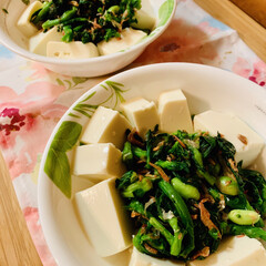 豆腐/菜の花/おうちごはん/うちの定番料理 今日も暑い一日😵💦でした。
菜の花とお豆…(2枚目)