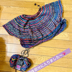編み物再開/オパール毛糸でセーターに初挑戦/オパール毛糸/トップダウンセーター/手編み 昨年の暮れから編み始めたオパール毛糸で
…(3枚目)