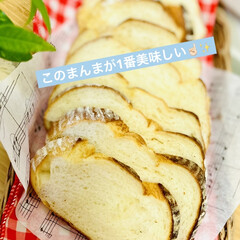 カンパーニュ/自家製天然酵母パン/手作りパン good morning🥖(3枚目)