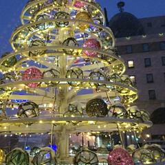 クリスマスツリー/小樽運河/クリスマス (1枚目)