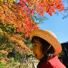 娘/秋/風景/旅 秋保の紅葉🍁天気も良く綺麗でした。(2枚目)