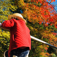 娘/秋/風景/旅 秋保の紅葉🍁天気も良く綺麗でした。(1枚目)