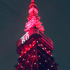 フォロー大歓迎/クリスマスツリー/旅行/風景 東京タワー🗼
60歳還暦祝い👍✨✨✨(1枚目)