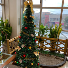 クリスマスツリー 私が通院してる整形外科と内科の待合室に飾…(6枚目)